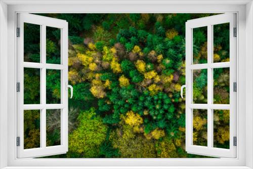 Fototapeta Naklejka Na Ścianę Okno 3D - Wald im Herbst von oben