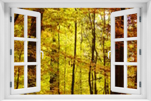 Fototapeta Naklejka Na Ścianę Okno 3D - Ein schöner goldener Herbst in einem Wald mit Bäumen und gelb braunen Blättern