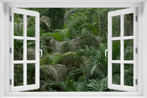Fototapeta Naklejka Na Ścianę Okno 3D - Urwald mit Palmen 