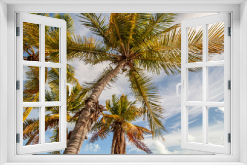 Fototapeta Naklejka Na Ścianę Okno 3D - Palmen auf den Florida Keys