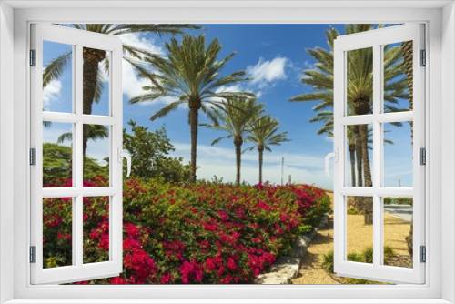 Fototapeta Naklejka Na Ścianę Okno 3D - Gorgeous view of natural tropical landscape. Bushes with red flowers and green palm trees on blue sky with white clouds background.