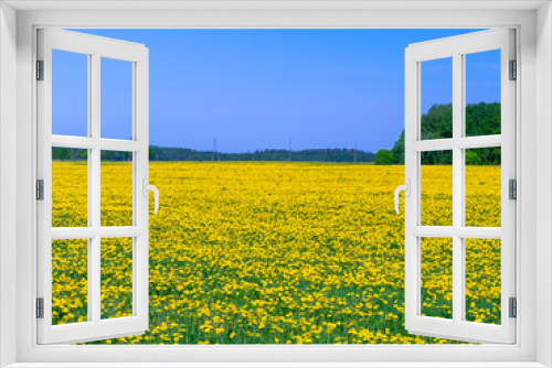 Fototapeta Naklejka Na Ścianę Okno 3D - beautiful landscape with yellow dandelion field