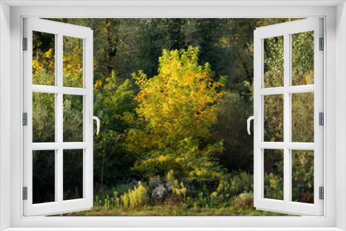 Fototapeta Naklejka Na Ścianę Okno 3D - Automn light and Nature, Auvergne, France.