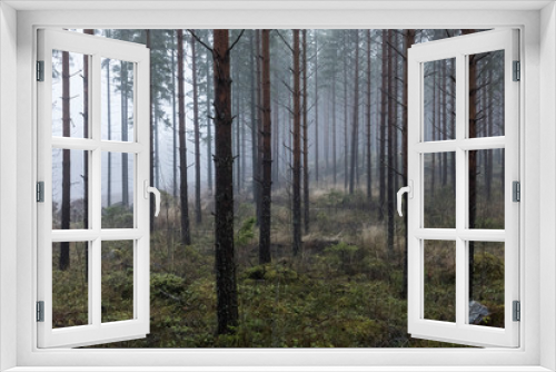 Fototapeta Naklejka Na Ścianę Okno 3D - Forêt dans la brume, Finlande, Enonkoski