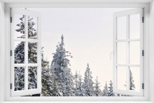 Fototapeta Naklejka Na Ścianę Okno 3D - Winter landscape with snowy trees