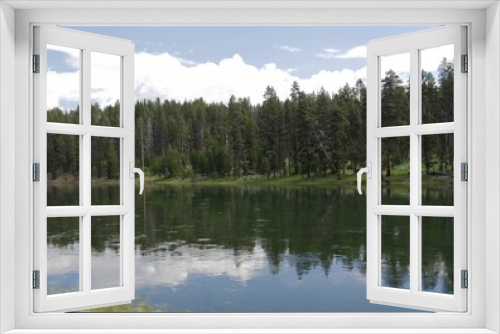 Fototapeta Naklejka Na Ścianę Okno 3D - Yellowstone River bordered by tall green pine trees at Yellowstone National Park, Wyoming.