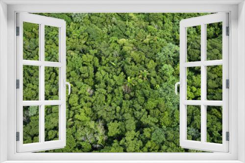 Fototapeta Naklejka Na Ścianę Okno 3D - Aerial view of rain forest treetops on Mount Isabel de Torres Puerto Plata