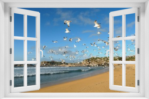 Fototapeta Naklejka Na Ścianę Okno 3D - playa gaviotas
