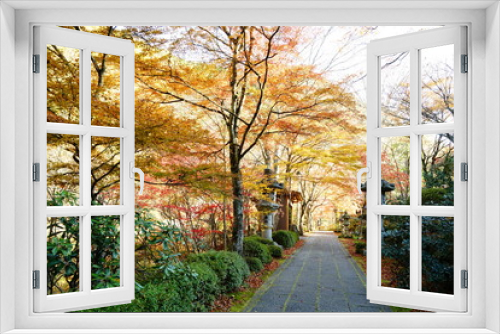 Fototapeta Naklejka Na Ścianę Okno 3D - 日本の秋