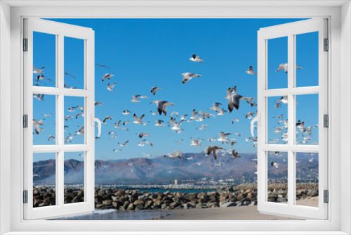 Fototapeta Naklejka Na Ścianę Okno 3D - Flying Seagulls