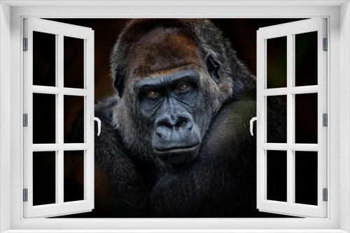 Fototapeta Naklejka Na Ścianę Okno 3D - gorilla look