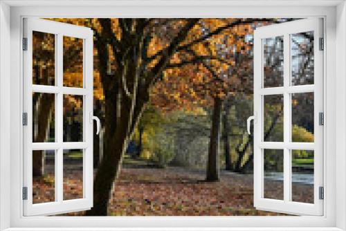 Fototapeta Naklejka Na Ścianę Okno 3D -  Horizontal View of Fallen Leaves and Trees with Mixed Color Foliage near Green Lake Seattle Washington