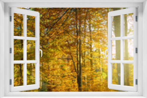 Fototapeta Naklejka Na Ścianę Okno 3D - Autumnal colorful forest with path