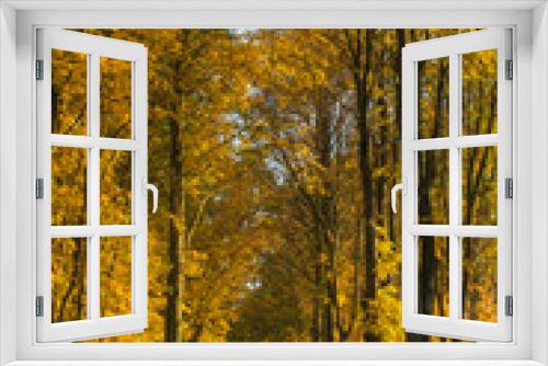 Fototapeta Naklejka Na Ścianę Okno 3D - an autumn road between golden trees in Europe