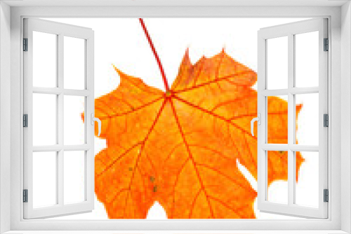 Fototapeta Naklejka Na Ścianę Okno 3D - maple leaves