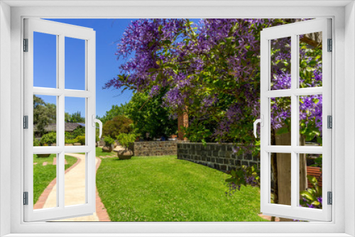 Fototapeta Naklejka Na Ścianę Okno 3D - St Kilda Botanical Garden
