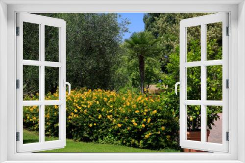 Fototapeta Naklejka Na Ścianę Okno 3D - Verschiedene Pflanzen im Mediteranen Garten