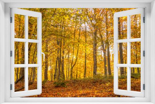 Fototapeta Naklejka Na Ścianę Okno 3D - Pure Nature d'automne