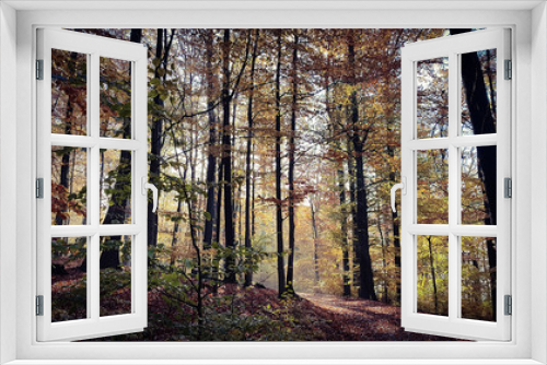 Fototapeta Naklejka Na Ścianę Okno 3D - Herbst im Odenwald