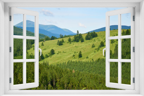 Fototapeta Naklejka Na Ścianę Okno 3D - Green hills of the Carpathian mountains