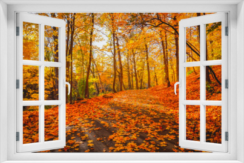 Fototapeta Naklejka Na Ścianę Okno 3D - Autumn Landscape View in Fall Season