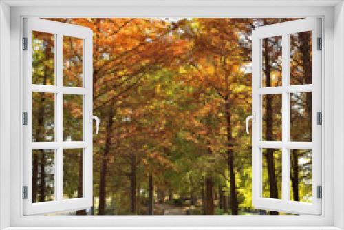 Fototapeta Naklejka Na Ścianę Okno 3D - 天満大池公園の紅葉