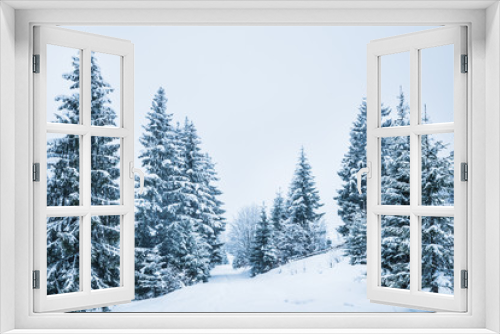 Fototapeta Naklejka Na Ścianę Okno 3D - Bewitching stern panorama of tall fir trees
