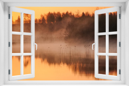 Fototapeta Naklejka Na Ścianę Okno 3D - Sunrise landscape at the water, trees reflection in the lake on foggy morning, early morning reeds mist fog and water surface on the lake       