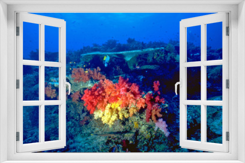 Fototapeta Naklejka Na Ścianę Okno 3D - Reef Colors Scene
