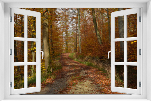 Fototapeta Naklejka Na Ścianę Okno 3D - Waldweg im Herbstwald