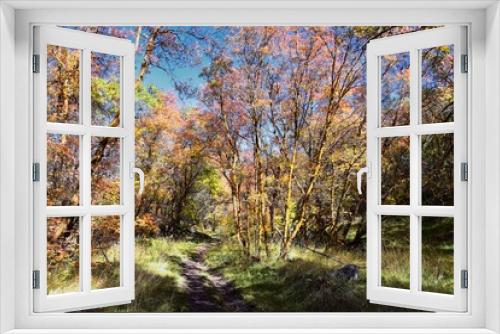 Fototapeta Naklejka Na Ścianę Okno 3D - Hiking Trails in Oquirrh, Wasatch, Rocky Mountains in Utah Late Fall with leaves. Panorama forest views backpacking, biking, horseback through trees on the Yellow Fork and Rose Canyon by Salt Lake. 
