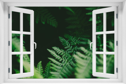 Fototapeta Naklejka Na Ścianę Okno 3D - Leafy background 