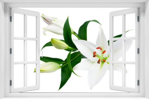 Fototapeta Naklejka Na Ścianę Okno 3D - White lily flowers and buds with green leaves on white background isolated close up, lilies bunch, elegant bouquet, lillies floral pattern, romantic holiday greeting card, wedding invitation design