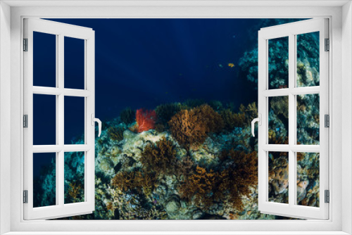Fototapeta Naklejka Na Ścianę Okno 3D - Underwater rocks with coral and fish in blue transparent ocean. National park Menjangan island