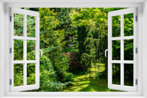 Fototapeta Naklejka Na Ścianę Okno 3D - Landscaped garden with evergreens. Spring landscape with boxwood bushes, Hootsman juniper, Japanese pine Glaua and western thuja. Atmosphere of peace and tranquility.