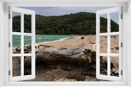 Fototapeta Naklejka Na Ścianę Okno 3D - drift wood on a beach 