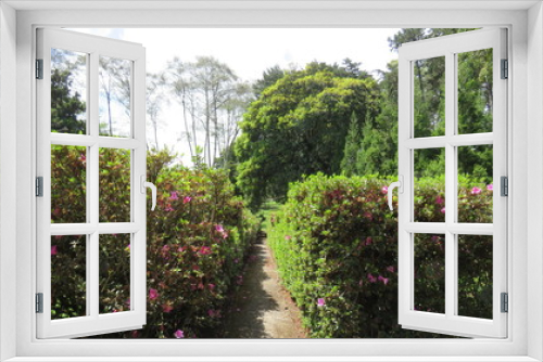 Fototapeta Naklejka Na Ścianę Okno 3D - path in garden
