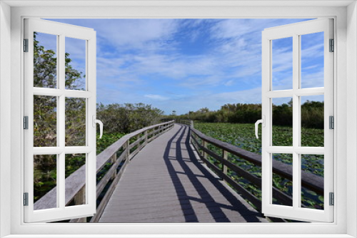 Fototapeta Naklejka Na Ścianę Okno 3D - Anhinga Trail Boardwalk over ponds covered in lily pads in Everglades National Park, Florida on a sunny winter morning.