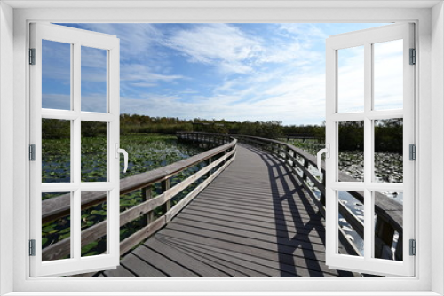 Fototapeta Naklejka Na Ścianę Okno 3D - Anhinga Trail Boardwalk over ponds covered in lily pads in Everglades National Park, Florida on a sunny winter morning.