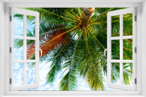 Fototapeta Naklejka Na Ścianę Okno 3D - Beach summer vacation holidays background with coconut palm tree