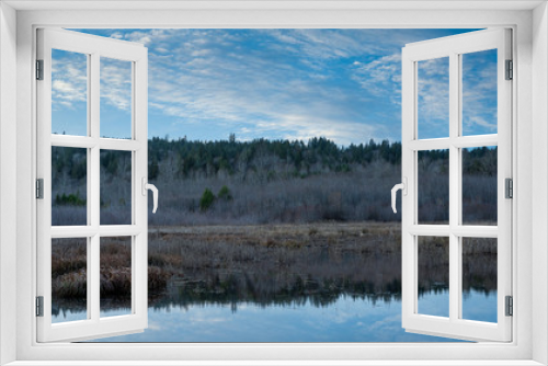 Fototapeta Naklejka Na Ścianę Okno 3D - Late Afternoon Along Beaver Pond At Darlin Creek