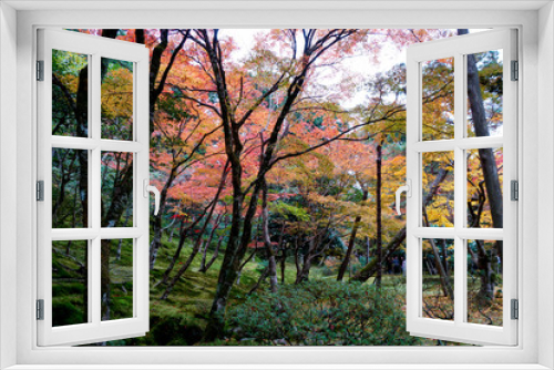Fototapeta Naklejka Na Ścianę Okno 3D - 銀閣寺 / Ginkakuji Temple