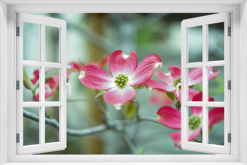 Fototapeta Naklejka Na Ścianę Okno 3D - 赤な木