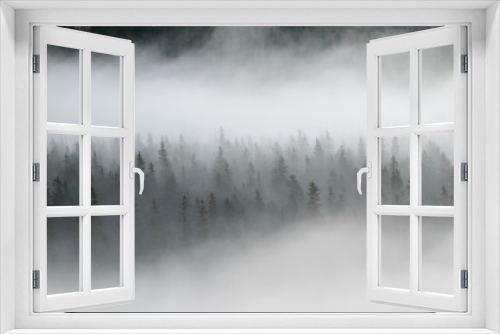 Fototapeta Naklejka Na Ścianę Okno 3D - Morning mist over pine tree forest