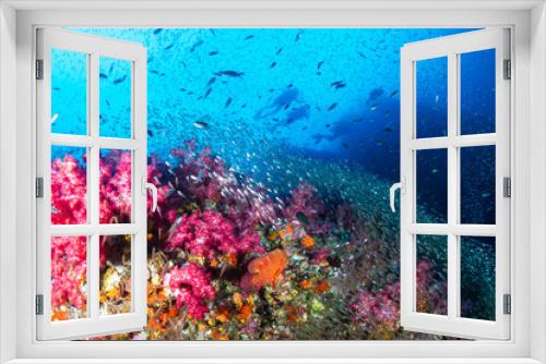 Fototapeta Naklejka Na Ścianę Okno 3D - SCUBA divers on a colorful, tropical coral reef in Thailand