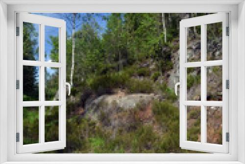 Fototapeta Naklejka Na Ścianę Okno 3D - Forest on a summer day in Central Norway