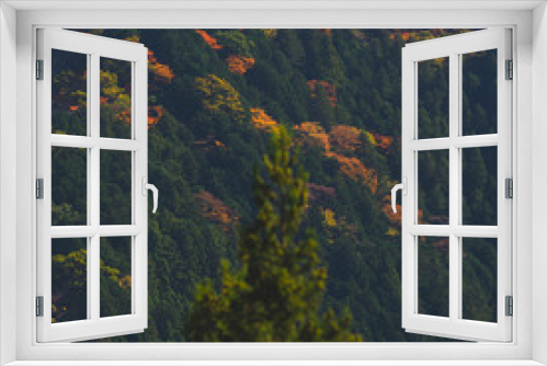 Fototapeta Naklejka Na Ścianę Okno 3D - The famous vibrant Japanese autumn