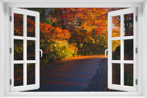 Fototapeta Naklejka Na Ścianę Okno 3D - The famous vibrant Japanese autumn