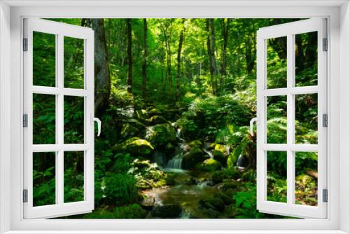 Fototapeta Naklejka Na Ścianę Okno 3D - Urabandai Forest