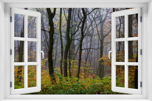 Fototapeta Naklejka Na Ścianę Okno 3D - beautiful foggy forest in autumn
